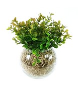 Glass Bowl Vase with Faux Greenery Handcrafted by Collins Creek Collections - £6.23 GBP