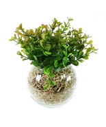 Glass Bowl Vase with Faux Greenery Handcrafted by Collins Creek Collections - $27.15 CAD