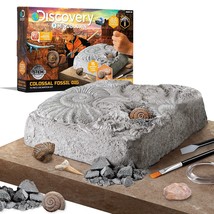 Discovery #MINDBLOWN Colossal Fossil Dig Set, 15-Piece Archeology Excava... - £28.73 GBP