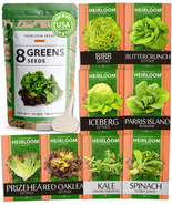 Lettuce &amp; Salad Greens Seed Vault - 1200+ Non-Gmo Vegetable Seeds for Ou... - £17.31 GBP