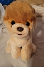 Boo the Pomeranian World&#39;s Cutest Dog 4029715 GUND Stuffed Animal 10” Pl... - $11.87