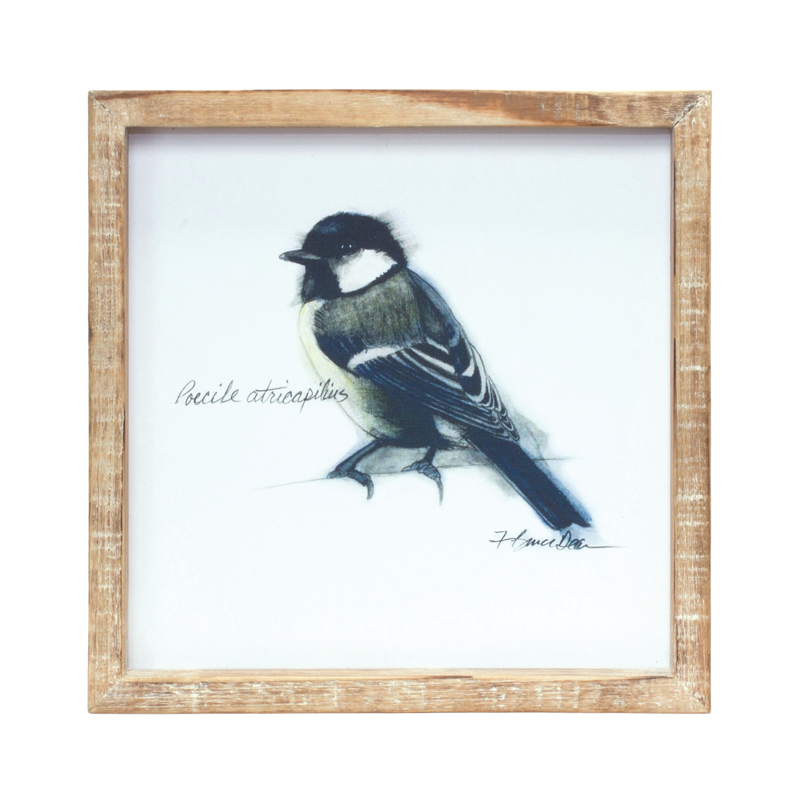 Wood Framed Bird Art Print (Set of 4) Item image 4