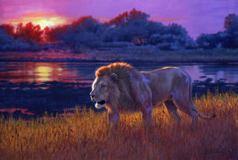 Framed canvas art print giclée lion evening patrol sunset wildlife safari Africa - £31.13 GBP+