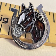 Brown Horse Head In Horse Shoe Enameled Silver Tone Metal Pin 6/8” W And... - £4.68 GBP