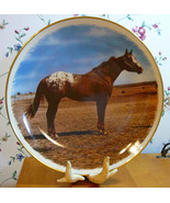 SUPER SALE On Cloud Nine Appaloosa World National Champ Halter Collector... - $37.50