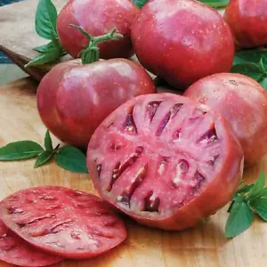 30 seeds Tomato CHEROKEE PURPLE Beefsteak Indeterminate Heirloom Non-GMO - $92.93 MXN