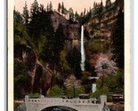 Multnomah Falls and Bridges Columbia River Oregon OR WB Postcard N19 - $1.93