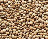 Brown Lentil Seeds For Planting Asian Indian Dal Daal Organic Vegan Seed  - $5.93