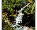 Waterfall and Glen Towanda Pennsylvania PA 1909 DB Postcard T2 - $4.42