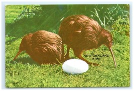 Kiwi Birds Egg New Zealand Postcard - $7.00