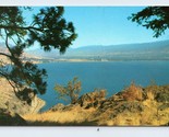 Skaha Lake Okanagan Valley British Columbia BC Canada UNP Chrome Postcar... - $2.92