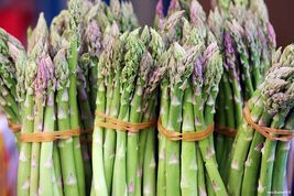 100 Pcs Mary Washington Asparagus Seeds #MNHG - £11.41 GBP