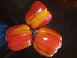 Organic Aloha Rainbow Sunset Bell Pepper Seeds ,NON -GMO, 2024 Season, 1... - £7.98 GBP