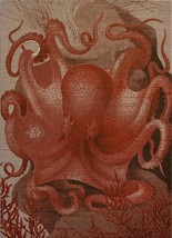 Wall Art Print 19th C Octopus in the Sea 29x40 40x29 Coral Pink Linen U - £298.52 GBP