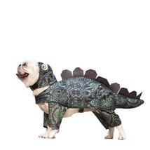 Bunnylicious Dino Dress: Adorable Pet Dinosaur Clothes For Fashionable Females - £33.52 GBP
