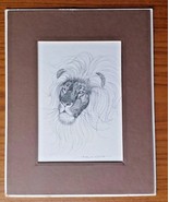 Bill Neat 1978 Lion Print - Matte, no frame 8x10 inches - $11.64