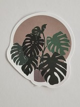 Monstera Like Plant in Pot Multicolor Sticker Decal Nature Theme Embelli... - $2.30