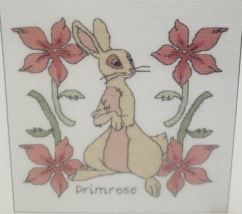Watership Down Primrose Counted Cross Stitch Kit Beginners K3823US 6&quot;x6&quot; - $19.75