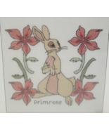 Watership Down Primrose Counted Cross Stitch Kit Beginners K3823US 6&quot;x6&quot; - £15.53 GBP