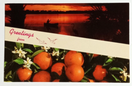 Greetings from Banner Oranges Sunset Canoe Scenic FL Curt Teich Postcard 1969 - $7.99
