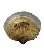 Shell Shaped Glass Bowl Painted Gold Seashell Plate Dish Beach Sea Decor... - $21.78