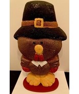 Unique Sparkly Turkey Dressed Up As A Pilgrim Thanksgiving Decor Holiday... - $360.74 MXN