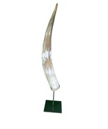 Polished Watusi Cow Horn on Metal and Metal -  Stand African Cow Polishe... - $2,921.61 MXN
