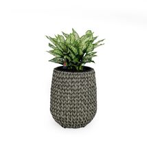 Catleza 13.4&quot; Self-Watering Wicker Planter - Garden Decoration Pot - Gray - Roun - £31.61 GBP