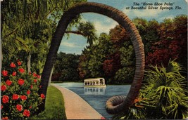 The Horse Shoe Palm at Beautiful Silver Springs FL Postcard PC46 - £3.95 GBP