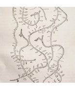 1903 Pine Bark Beetle Destruction Wood Engraving Agriculture Larval Mine... - $28.16 CAD