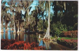 Florida Postcard Lake Eloise At Cypress Gardens - £1.72 GBP