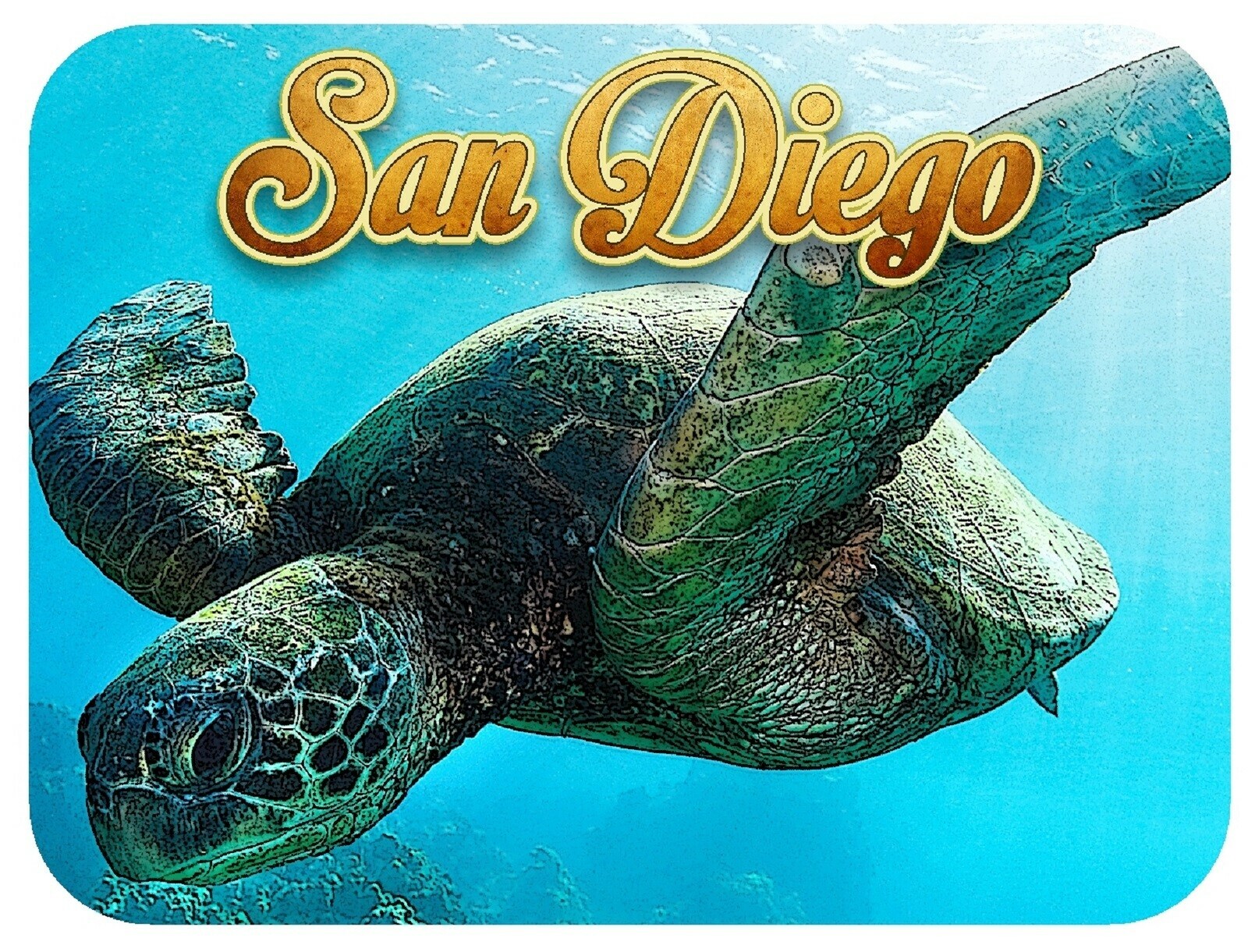 San Diego with Sea Turtle Fridge Magnet - $8.99