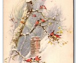Christmas Greetings Bird House Roof Top Birch Tree DB Postcard Y9 - $3.91