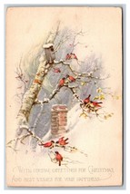 Christmas Greetings Bird House Roof Top Birch Tree DB Postcard Y9 - £3.07 GBP