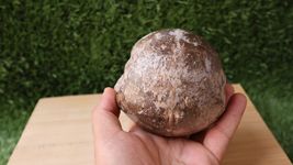 Item image 14