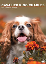 Cavalier King Charles Calendar 2026 - £14.97 GBP