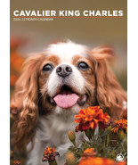 Cavalier King Charles Calendar 2026 - $13.99