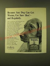 1966 Sergeant&#39;s Sure Shot Worm Capsules Ad - Because any dog can get worms - $18.49