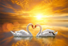 kissing swans in beach sunset love birds hearts ceramic tile mural backsplash - £47.47 GBP+