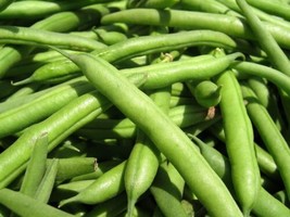 Green Bean Jade Green Bean , 50 Seeds Fresh - £6.62 GBP