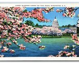 Capitol Building Through Cherry Blossoms Washington DC UNP Linen Postcar... - $2.92