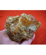 (k-400) 230 g Rare Kauri tree Gum copal young Amber New Zealand Tane Mahuta - $193.19