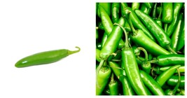 90 Seeds Serrano Pepper Seeds Garden Seeds FREE SHIP - £16.88 GBP