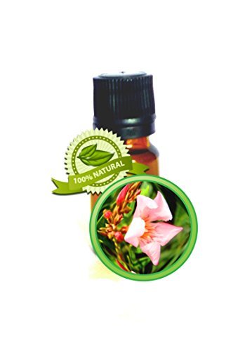 Davana Essential Oil - 100% Pure Artemisia pallens - 10ml (1/3oz)
