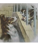 Vintage ~ Antique Lithograph Print ~ A Wish For Father ~ Pru-Lesco ~ Pro... - $40.00