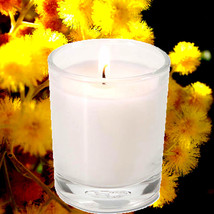 Australian Golden Wattle Scented Votive Candles Hand Poured Luxury Fragrance - $280.26 MXN - $355.25 MXN