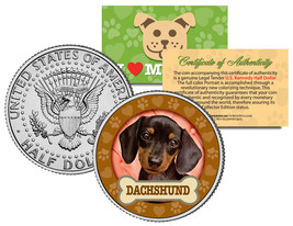 Dachshund Dog Jfk Kennedy Half Dollar Us Colorized Coin - £6.82 GBP