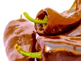 35 Chocolate Poblano Sweet Pepper Seeds (Mulato Isleño) Heirloom Chile Ancho - £3.18 GBP