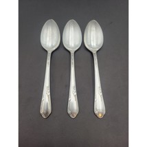 Wm. Rogers A1+ Oneida Ltd 1936 Meadowbrook Heather Silverplate Oval Spoo... - $326.52 MXN