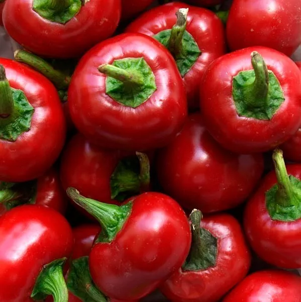 30+ Red Cherry Hot Pepper Seeds - Pimenta Non-Gmo Heirloom - Organic Fresh Garde - £7.00 GBP